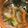 ＫＩＣＫ's cooksnap of when they made 余った野菜でOK中華風スープ 簡単.