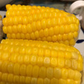 morio28's cooksnap of when they made これで決まり♡とうもろこしの茹で方.