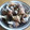 ぽれぽれ2000's cooksnap of when they made 簡単！灯台つぶの煮つけ.