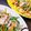 ぐるぐるしろたん's cooksnap of when they made モロッコいんげんと豚肉炒め.