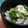 yukoko☆'s cooksnap of when they made ※梅薫るさんまの混ぜご飯※.