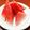 旦那は皿洗い's cooksnap of when they made 食べやすいスイカの切り方.