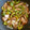 antkishi's cooksnap of when they made 豚肉と玉ねぎとピーマンの中華風生姜焼き.