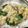 クックGFY8CA☆'s cooksnap of when they made ロメインレタスのチャーハン.