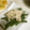 sakkot's cooksnap of when they made いんげんのツナマヨソースがけ.