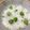 きゃんdy's cooksnap of when they made じぃじの豆ごはん.