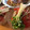 monemaruku's cooksnap of when they made 簡単❗ザーサイとトマトの中華冷奴.