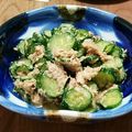 kamiちゃん。's cooksnap of when they made きゅうりのツナ入りゴマ味噌和え.
