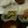 しいのちゃん's cooksnap of when they made 簡単♪【小松菜と玉子のオイソースがけ】.