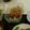 しいのちゃん's cooksnap of when they made きゅうりともやしのナムル.