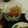 しいのちゃん's cooksnap of when they made きゅうりともやしのナムル.
