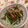 kimikimis's cooksnap of when they made 水菜の簡単サラダ.