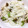 メイジももんじゃ's cooksnap of when they made きのこたっぷり！ 簡単 具沢山 ピラフ♪.