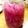 クックさなママ☆'s cooksnap of when they made 酢たまねぎ♪.