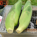 あかぷり's cooksnap of when they made メチャ旨！とうもろこし～アウトドア編.