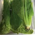 マリアマリママ's cooksnap of when they made レンジで美味しく♡葉物野菜の調理法☆.