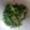 クッキングホチョ's cooksnap of when they made 豆苗のおひたし.