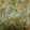 クックXFL002☆'s cooksnap of when they made 簡単節約！シャキシャキ☆もやしの甘酢炒め.
