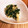 おおきなはっぱ's cooksnap of when they made 大根の葉と油揚げの胡麻油炒め.