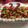 クックXUM31K☆'s cooksnap of when they made フルーツたっぷりバースデーケーキ.