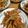 sohaya71☆'s cooksnap of when they made しっとり味染み☆簡単きんぴらごぼう.