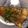 YU（╹◡╹）♡'s cooksnap of when they made トロッと簡単！さばの味噌煮.