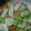 ナーちゃん's cooksnap of when they made 冷凍しゅうまいのうま煮.