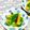 クックI7I5L1☆'s cooksnap of when they made さつまいもと青ねぎの和風だし煮.