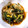 クックR466M5☆'s cooksnap of when they made 水菜の大量消費 豚と水菜の卵とじ.