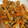 クックWP371X☆'s cooksnap of when they made ☆鯖缶で5分！生姜が香る人参しりしり☆.