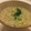 ゆいまーるん's cooksnap of when they made ✿玉ねぎと揚げ玉のお味噌汁✿.