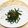 horseland's cooksnap of when they made ささげ豆のベーコン炒め.