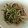 funa87's cooksnap of when they made みょうがときゅうりのあえあえ.