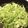 raichi706's cooksnap of when they made 表面の硬いキャベツの美味しい炒め物☆.