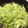 raichi706's cooksnap of when they made 表面の硬いキャベツの美味しい炒め物☆.