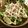 ☆Rokko☆'s cooksnap of when they made 朝からヘルシー！速攻で作れるツナ丼.