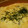 Gクミ's cooksnap of when they made 長芋とろろのチーズ焼き②簡単たらこ味.