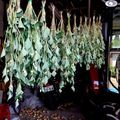 クックyama125's cooksnap of when they made ドクダミ茶.
