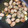もりのりころ's cooksnap of when they made ソーセージのアヒージョ.