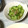 avaug77's cooksnap of when they made きゅうりとミョウガの酢の物.