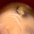 クック93LYRS☆'s cooksnap of when they made なすと玉ねぎの味噌汁.