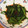 めいMom's cooksnap of when they made 空芯菜 中華炒め.