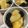 サクラ21's cooksnap of when they made サツマイモとりんごの重ね煮.