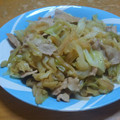 クック8D0BQL☆'s cooksnap of when they made 豚ロースと野菜の照り焼き丼.
