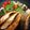 まっちゃ小豆's cooksnap of when they made サーモンのバターオイスターソース炒め.