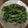 クック1FX93J☆'s cooksnap of when they made 簡単！豆苗のピリ辛ガーリックソテー.