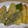 きらり流れ星's cooksnap of when they made 野菜の天ぷら.
