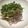 ぽちっどら's cooksnap of when they made フライパンで♪ご飯が進むコク旨牛丼♡.