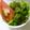 そらてんママ's cooksnap of when they made 味付け手間不要！めかぶのおかずサラダ☆.