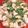 *あやっち*'s cooksnap of when they made 水菜と鶏肉の煮びたし.